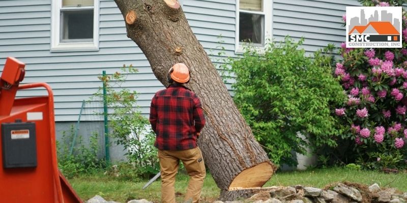 Have Tree Branches Pruned Before The Roof Replacement Process Starts