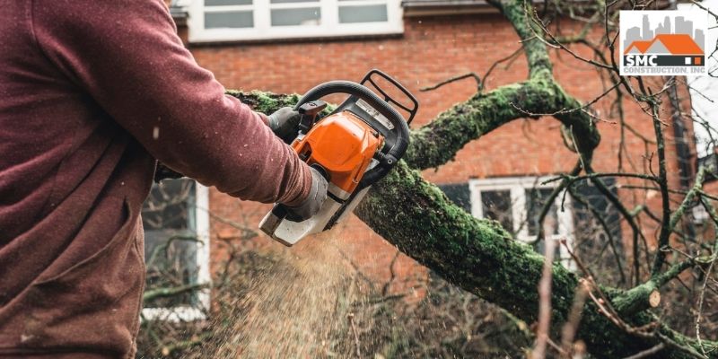 Remove Or Trim The Branches Of Nearby Trees